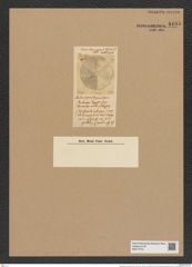 Aulacodiscus paradoxus Grev. (de-Toni-Nr.: Genus 182, Species 4607) Zeichnungen Sammlung Grunow Nr. 8195 (NHMW-BOT-W0377574)